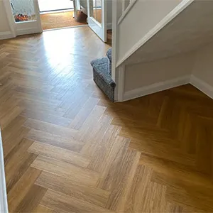 orange carpet
