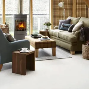 carpet in living room