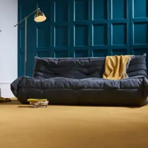 orange carpet